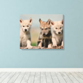 Baby Wolven Canvas Afdruk (Insitu (Houten vloer))