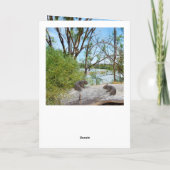 Baby Wombats Spelen Op Een Log, Groet Kaart (Achterkant)