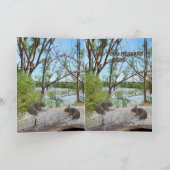 Baby Wombats Spelen Op Een Log, Groet Kaart (Binnen)