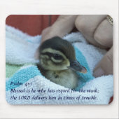 Baby Wood Duck Muismat (Voorkant)