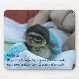 Baby Wood Duck Muismat