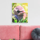 Baby Yellow Cedar Waxwing jonge vogel Canvas Afdruk (Insitu (Woonkamer))