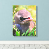 Baby Yellow Cedar Waxwing jonge vogel Canvas Afdruk (Insitu (Houten vloer))