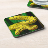 Baby Yellow Phase Green Tree Python Snake Bier Onderzetter (Linkerzijde)