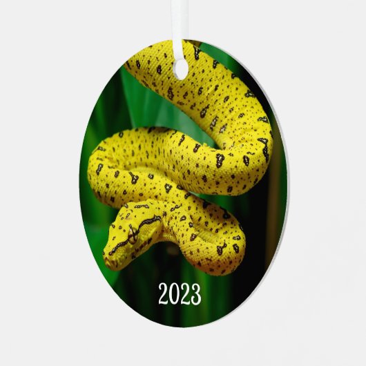 Baby Yellow Phase Green Tree Python Snake Metalen Ornament (Voorkant links)