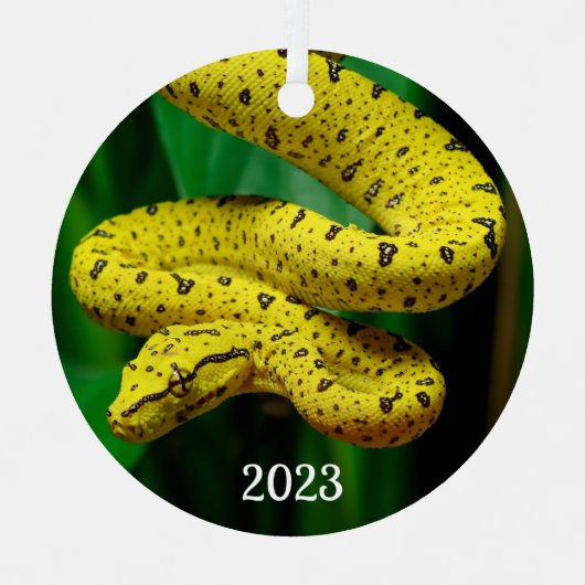 Baby Yellow Phase Green Tree Python Snake Metalen Ornament (Voorkant)