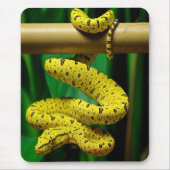 Baby Yellow Phase Green Tree Python Snake Muismat (Voorkant)