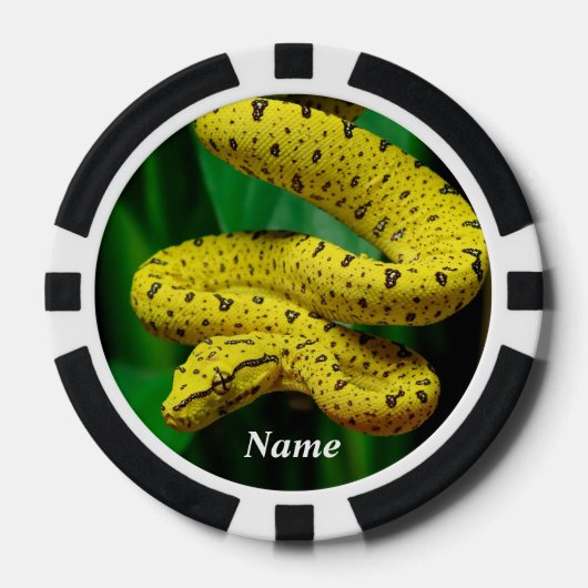 Baby Yellow Phase Green Tree Python Snake Poker Chips (Voorkant)