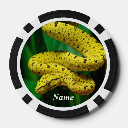 Baby Yellow Phase Green Tree Python Snake Poker Chips (Achterkant)