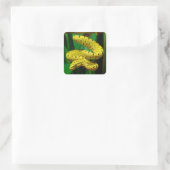 Baby Yellow Phase Green Tree Python Snake Vierkante Sticker (Tas)