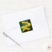 Baby Yellow Phase Green Tree Python Snake Vierkante Sticker (Envelop)