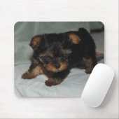 baby yorkie muismat (Met muis)