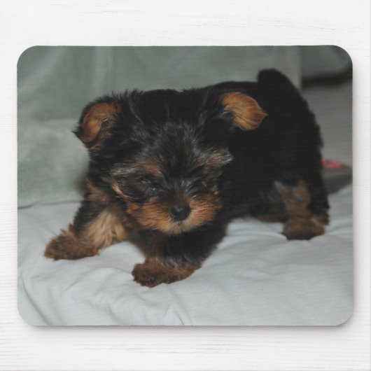 baby yorkie muismat (Voorkant)