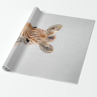 Baby Zebra Colorful Canvas Cadeaupapier