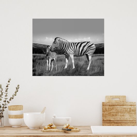 Baby Zebra en moeder Poster (Keuken)