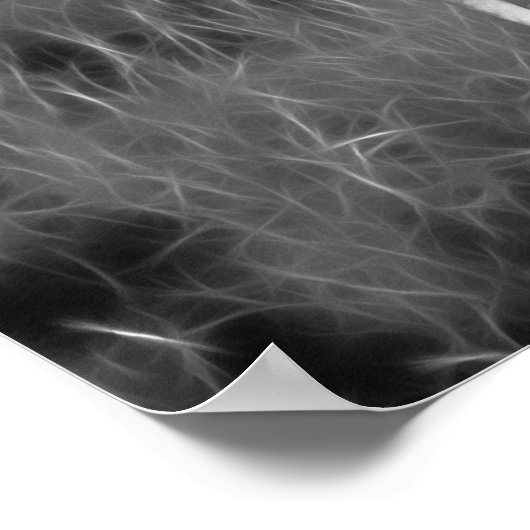 Baby Zebra en moeder Poster (Hoek)