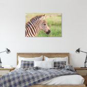 Baby zebra hoofd, Tanzania Canvas Afdruk (Insitu (Slaapkamer))