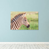 Baby zebra hoofd, Tanzania Canvas Afdruk (Insitu (Houten vloer))