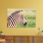 Baby zebra hoofd, Tanzania Canvas Afdruk (Insitu (Woonkamer))