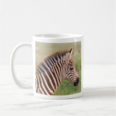 Baby zebra hoofd, Tanzania Koffiemok (Links)