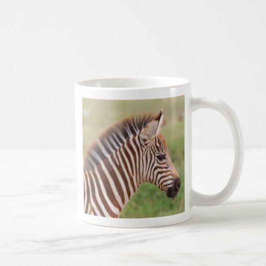 Baby zebra hoofd, Tanzania Koffiemok (Rechts)