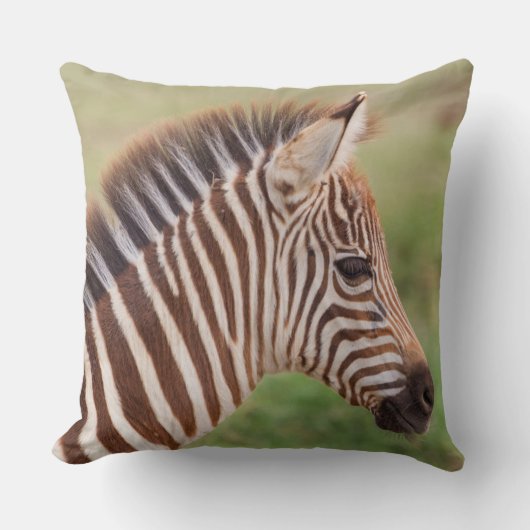 Baby zebra hoofd, Tanzania Kussen (Voorkant)