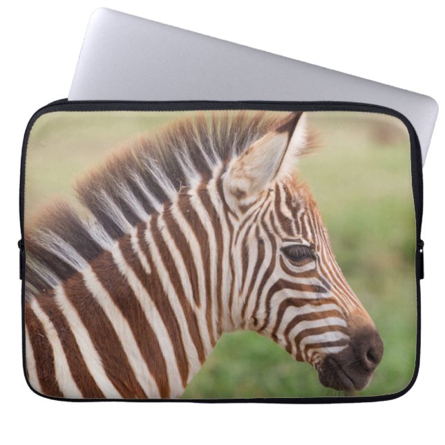Baby zebra hoofd, Tanzania Laptop Sleeve (Voorkant)