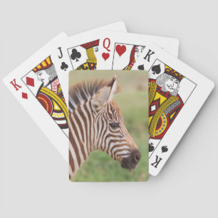 Baby zebra hoofd, Tanzania Pokerkaarten