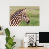 Baby zebra hoofd, Tanzania Poster (Thuiskantoor)