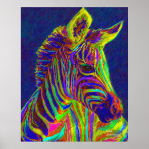 baby zebra in tekenkleuren poster