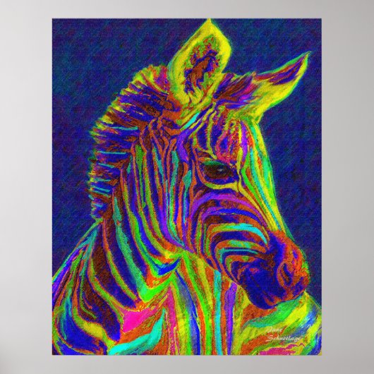 baby zebra in tekenkleuren poster (Voorkant)