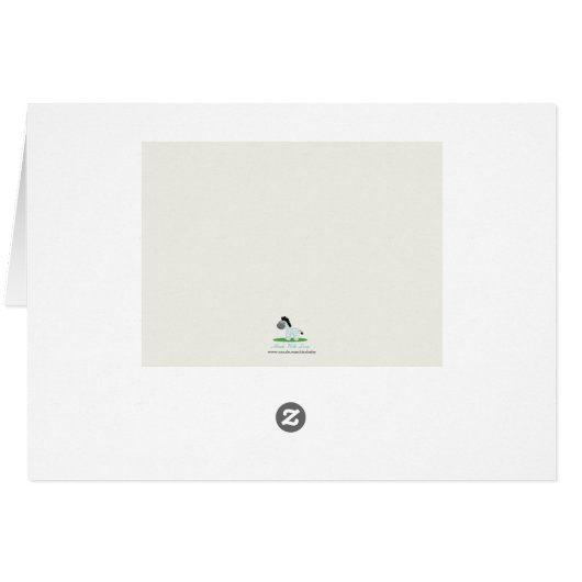 Baby Zebra ingevuld Bedankt voor je creditcard (Achterkant Horizontaal)