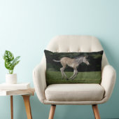 Baby Zebra Kussen (Stoel)
