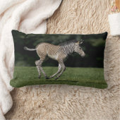 Baby Zebra Kussen (Deken)