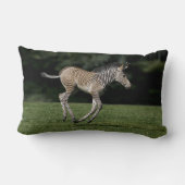 Baby Zebra Kussen (Achterkant)