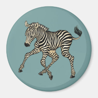 Baby Zebra Magneet