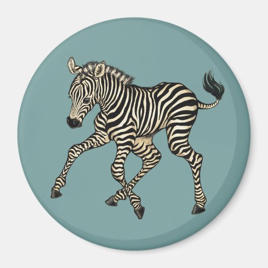 Baby Zebra Magneet (Voorkant)
