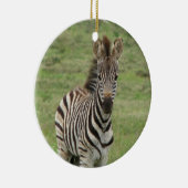 Baby Zebra Ornament (Rechts)
