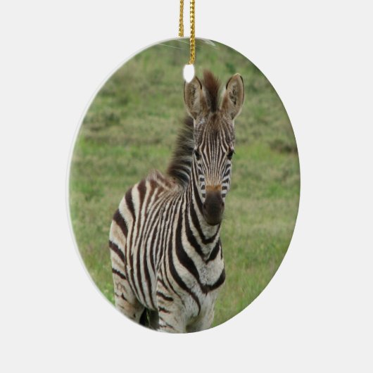 Baby Zebra Ornament (Rechts)