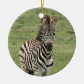 Baby Zebra Ornament (Voorkant)