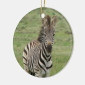 Baby Zebra Ornament (Links)