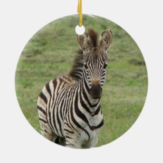 Baby Zebra Ornament (Achterkant)