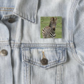 Baby Zebra Square Pin Vierkante Button 5,1 Cm (In situ)