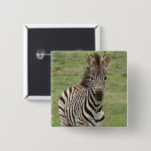 Baby Zebra Square Pin Vierkante Button 5,1 Cm (Voorkant /achterkant)
