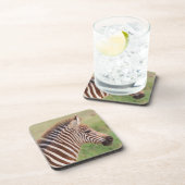 Baby zebra, Tanzania Bier Onderzetter (Rechterzijde)