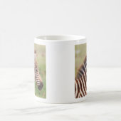 Baby zebra, Tanzania Koffiemok (Center)