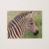 Baby zebra, Tanzania Legpuzzel (Horizontaal)