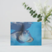 Baby Zee Briefkaart (Staand voorkant)