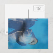 Baby Zee Briefkaart (Voorkant / Achterkant)