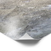 Baby Zee Lion Foto Afdruk (Hoek)